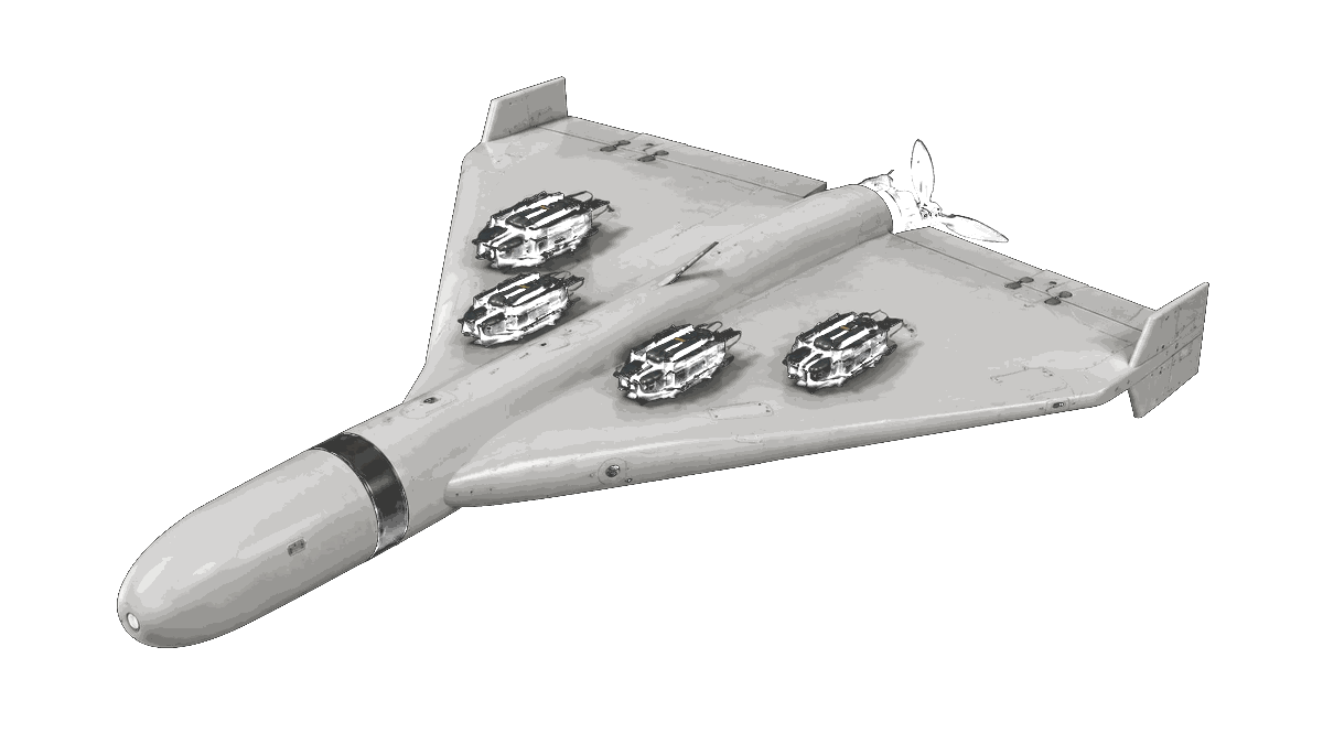 Ankosha top three-quarter view