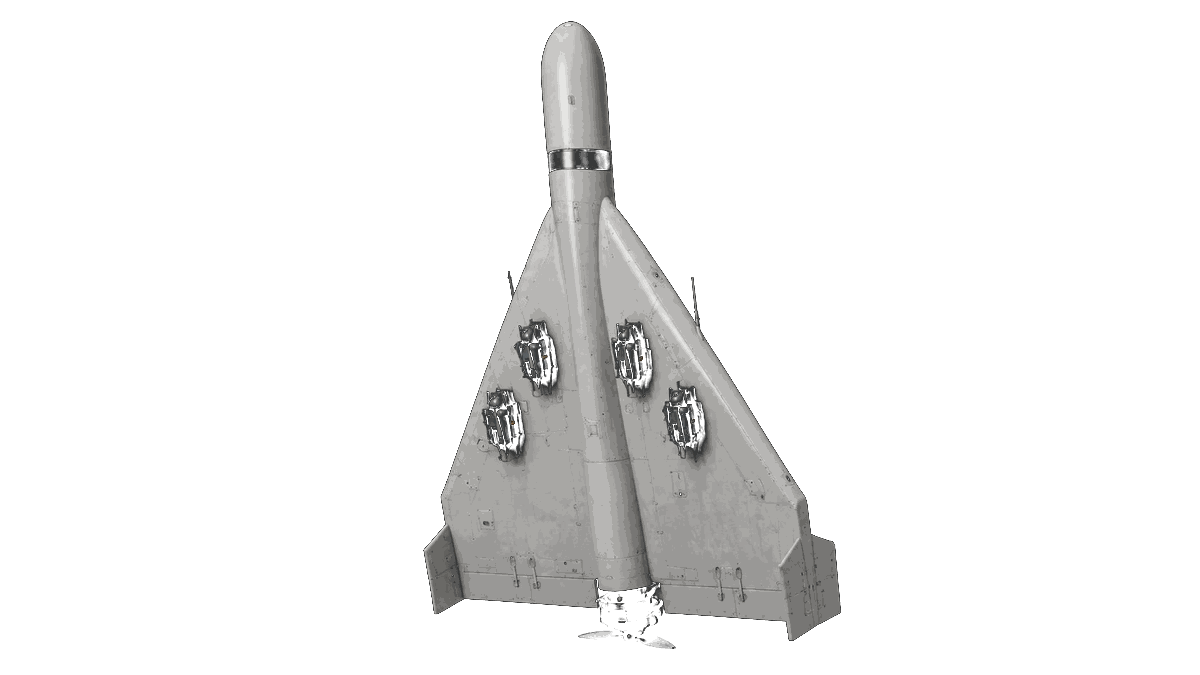 Ankosha underside view