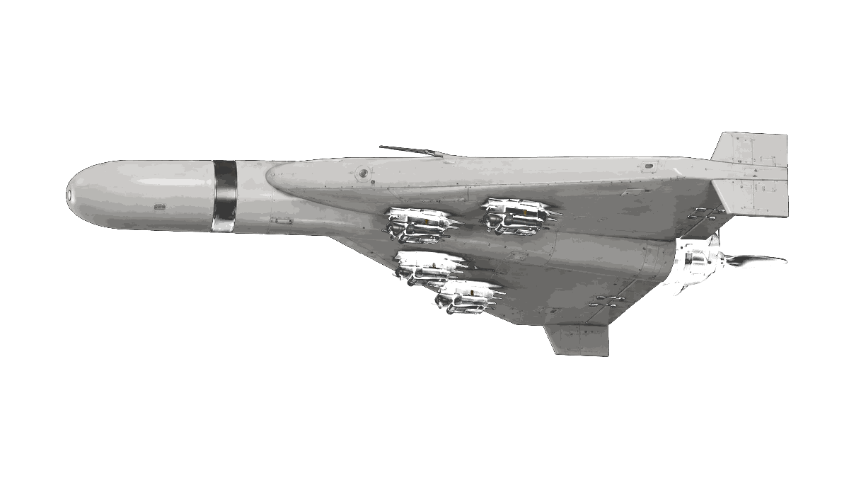 Ankosha side profile